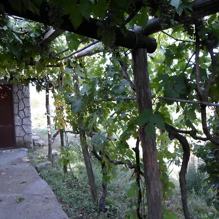 Casa Nicola *