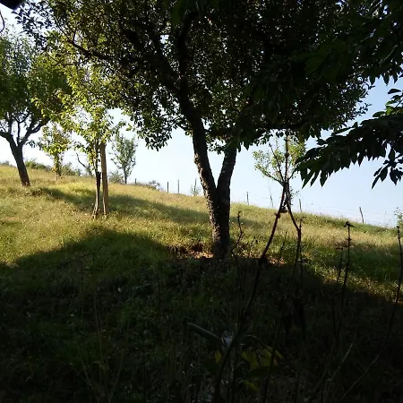 Lejlighed Casa Nicola Rapone