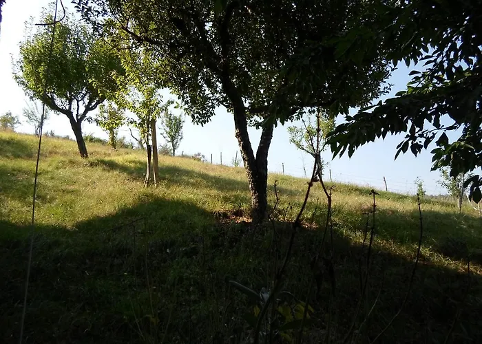 Daire Casa Nicola Rapone